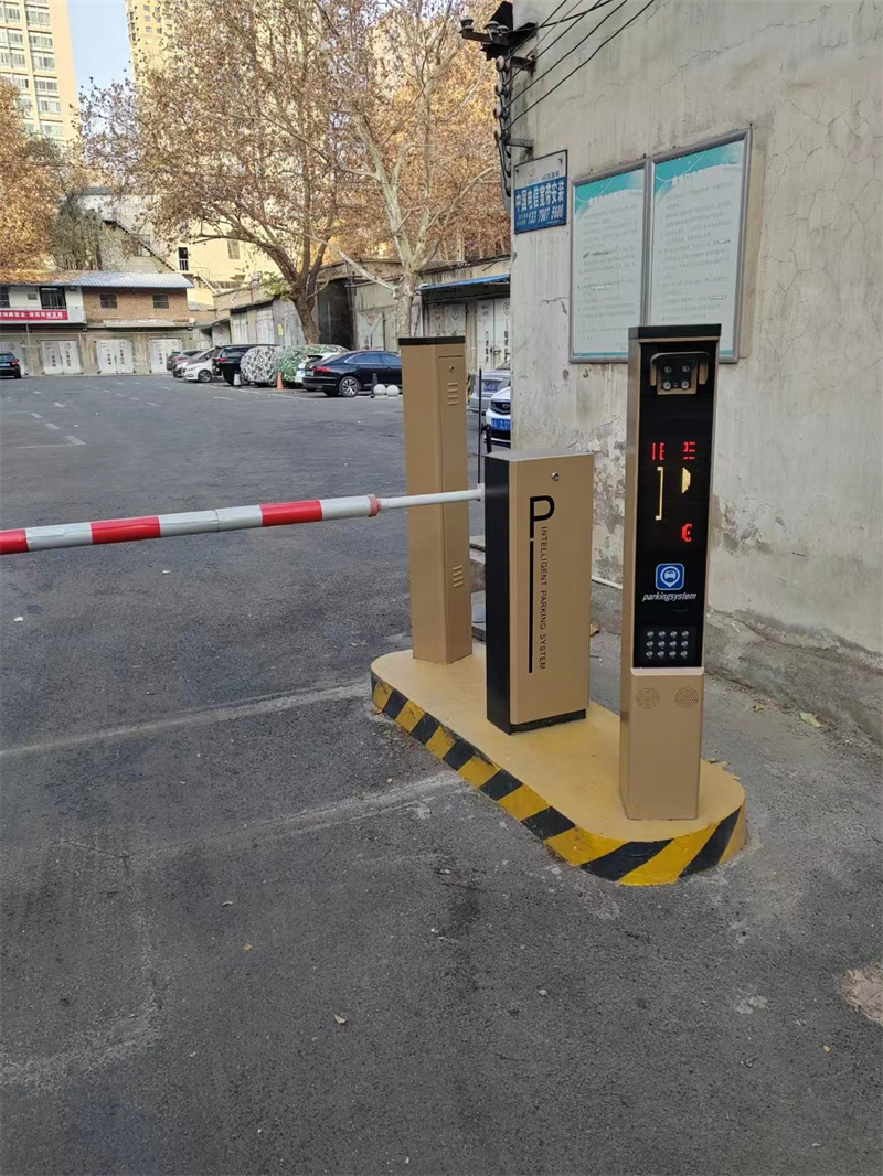 案例展示